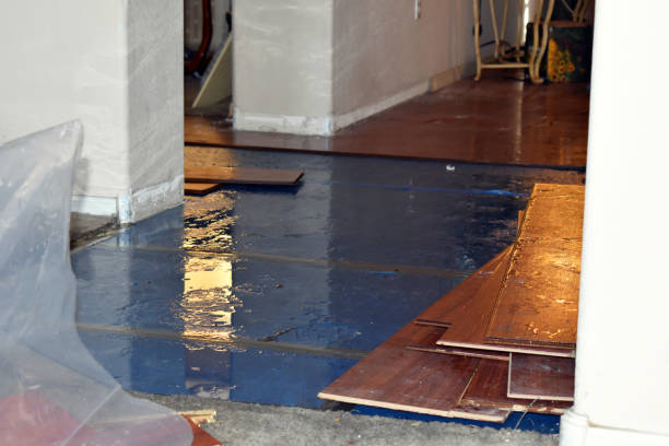 Professional Basement Flood Cleanup technician working in Biwabik, MN
